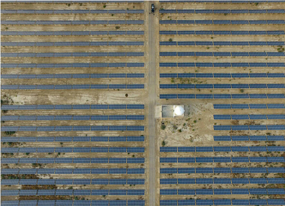 Pakistan's China Photovoltaic power plant grows plants under the photovoltaic panels