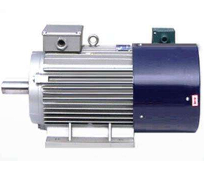 Ordinary asynchronous motor can be used as inverter motor?