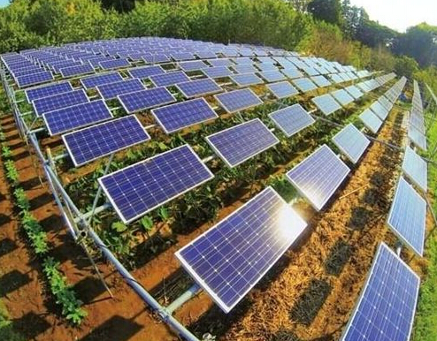 Photovoltaic power generation allows farmers to “do not smoke” and earn money